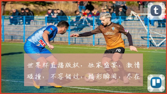 世界杯直播版权，独家盛宴，激情碰撞，不容错过，精彩瞬间，尽在掌握