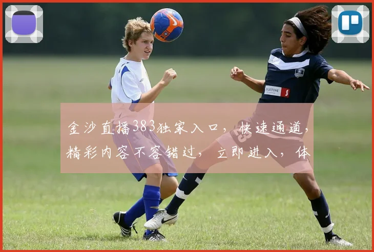 金沙直播383独家入口，快速通道，精彩内容不容错过，立即进入，体验非凡