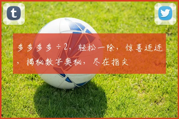 多多多多÷2，轻松一除，惊喜连连，揭秘数字奥秘，尽在指尖