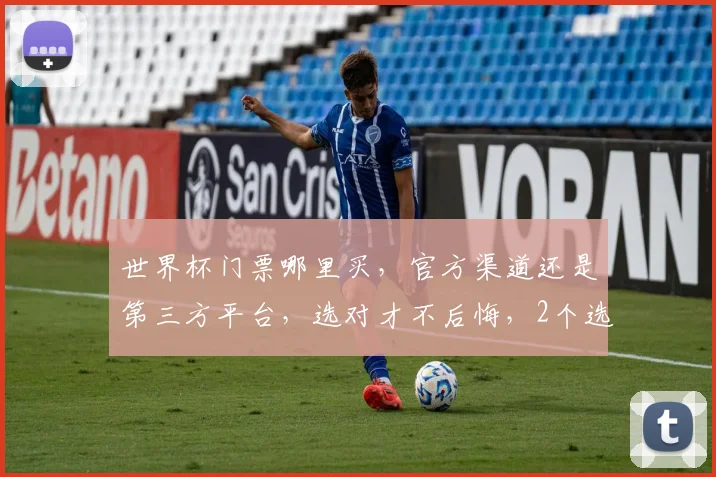 世界杯门票哪里买，官方渠道还是第三方平台，选对才不后悔，2个选择，你选哪个